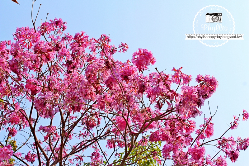 【屋馬燒肉中港店】台中必吃燒肉聚餐首選|高質感套餐×人氣沙拉×朋友聚會必訪餐廳 - 第2張圖