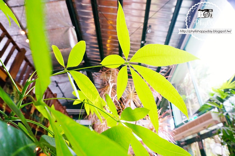 【千樺花園餐廳】森林裡享用美味可口的法式經典｜台中新社景觀餐廳｜新社約會餐廳｜新社美食 (餐點篇)