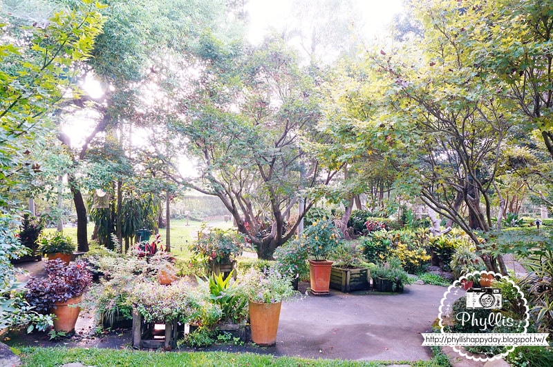 【千樺花園餐廳】漫步在森林裡的約會日｜台中小陽明山｜台中新社景觀餐廳｜新社約會餐廳｜台中景點 (環境篇)