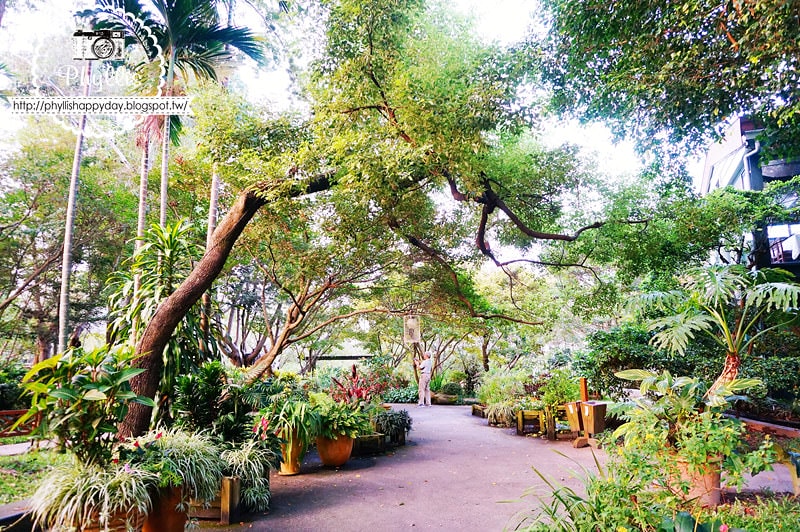 【千樺花園餐廳】漫步在森林裡的約會日｜台中小陽明山｜台中新社景觀餐廳｜新社約會餐廳｜台中景點 (環境篇)