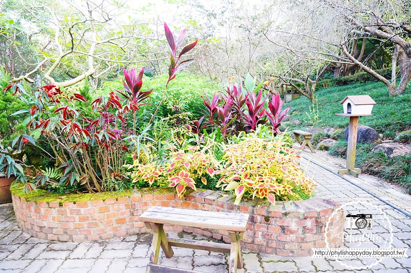 【千樺花園餐廳】漫步在森林裡的約會日｜台中小陽明山｜台中新社景觀餐廳｜新社約會餐廳｜台中景點 (環境篇)