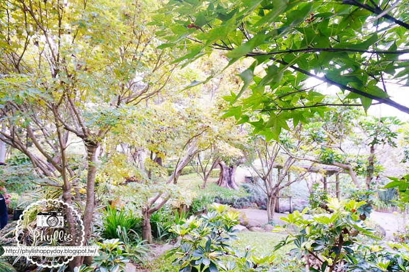 【千樺花園餐廳】漫步在森林裡的約會日｜台中小陽明山｜台中新社景觀餐廳｜新社約會餐廳｜台中景點 (環境篇)