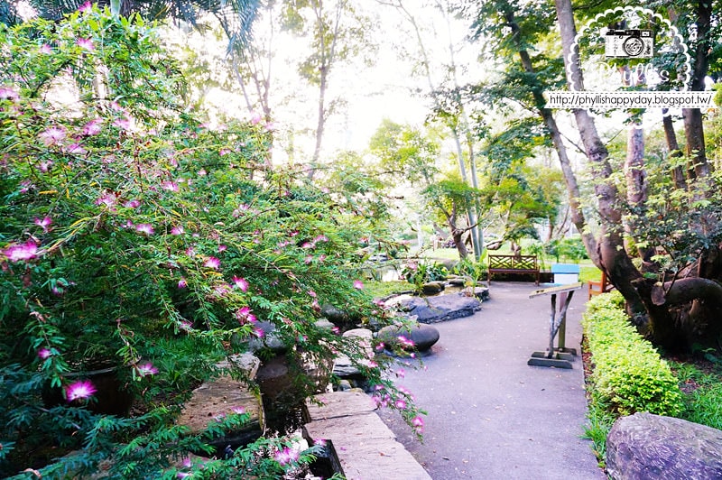 【千樺花園餐廳】漫步在森林裡的約會日｜台中小陽明山｜台中新社景觀餐廳｜新社約會餐廳｜台中景點 (環境篇)
