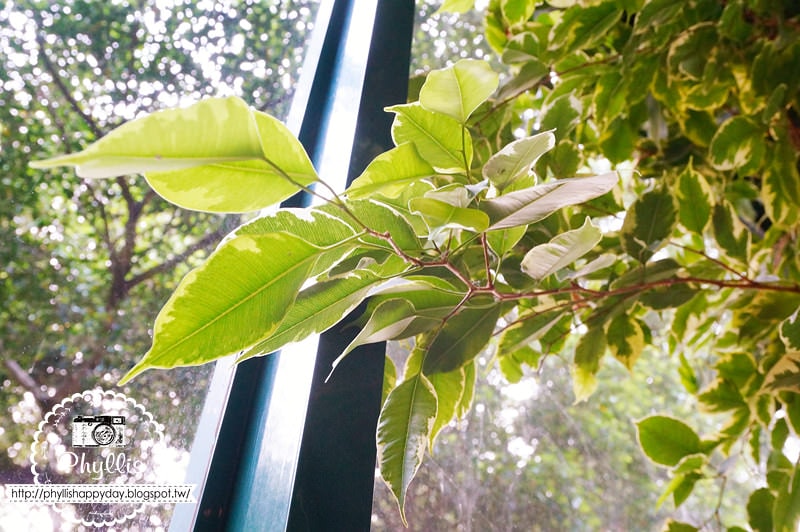 【千樺花園餐廳】森林裡享用美味可口的法式經典｜台中新社景觀餐廳｜新社約會餐廳｜新社美食 (餐點篇)
