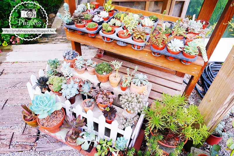 【千樺花園餐廳】漫步在森林裡的約會日｜台中小陽明山｜台中新社景觀餐廳｜新社約會餐廳｜台中景點 (環境篇)