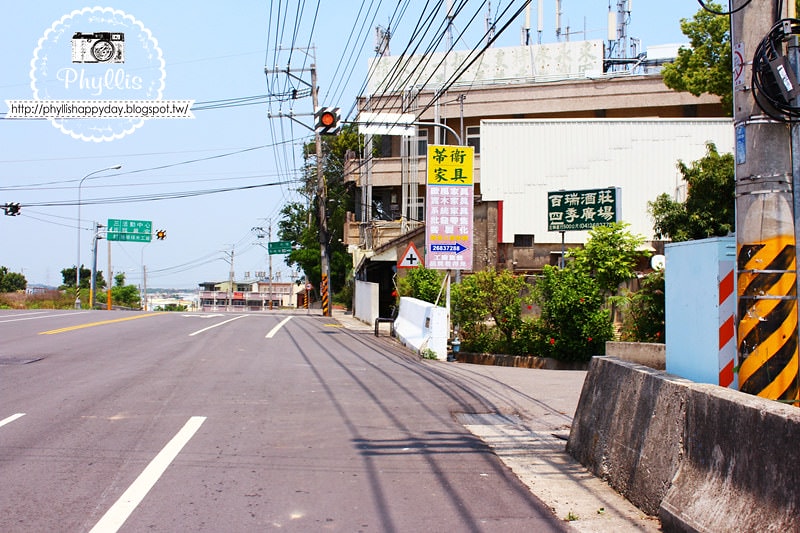 【外埔黃金海芋花田】黃色海芋花田大盛開｜外埔私房景點｜外埔秘境｜外埔海芋花海/花田｜台中免費景點