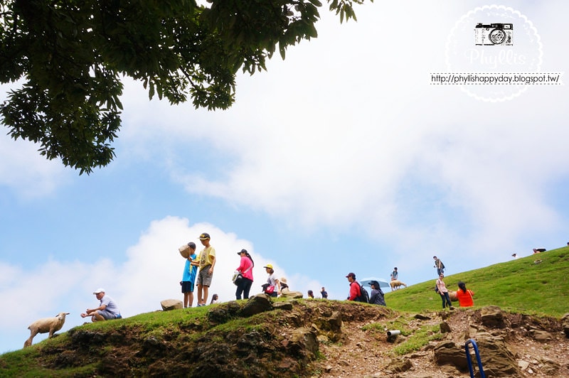 【清境農場】最美天空步道｜雲霧繚繞群山壯闊｜綿羊可愛逗趣｜值得N次回訪的好地方｜南投景點