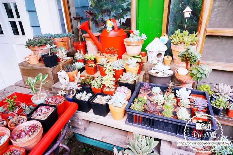 【千樺花園餐廳】漫步在森林裡的約會日｜台中小陽明山｜台中新社景觀餐廳｜新社約會餐廳｜台中景點 (環境篇)