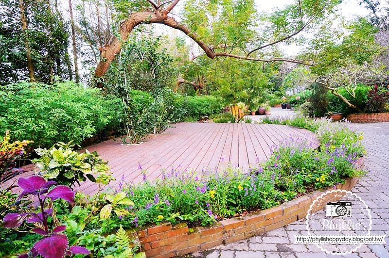 【千樺花園餐廳】漫步在森林裡的約會日｜台中小陽明山｜台中新社景觀餐廳｜新社約會餐廳｜台中景點 (環境篇)