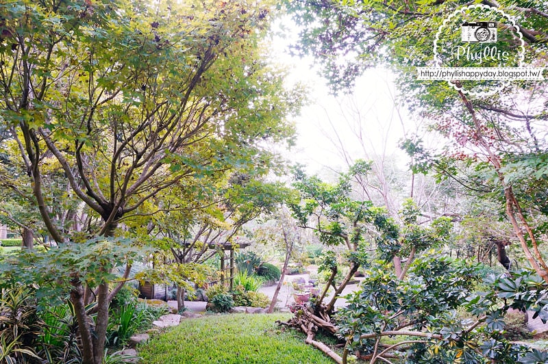 【千樺花園餐廳】漫步在森林裡的約會日｜台中小陽明山｜台中新社景觀餐廳｜新社約會餐廳｜台中景點 (環境篇)