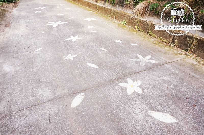 【永豐六分桐花步道】夢幻四月雪｜油桐花都開好了｜一起賞桐花趣｜台中油桐花｜台中景點｜油桐花秘境