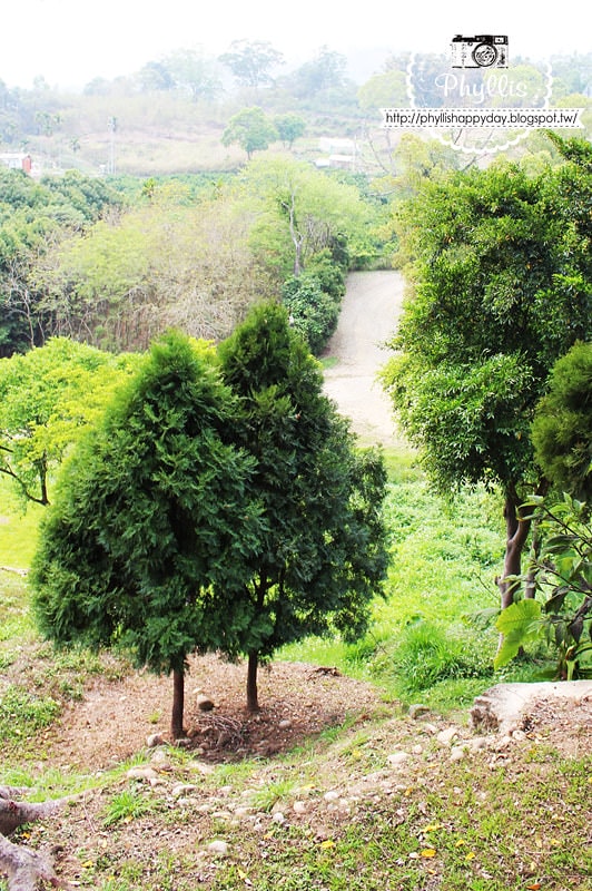 【青青湖畔親水花園(景觀餐廳)】新社景觀餐廳｜台中後花園｜台中景觀餐廳｜新社景點