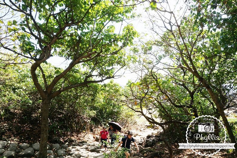 【富岡地質公園 (小野柳)】觀海聽浪超享受｜台東海岸線景點｜台東景點｜海水湛藍清澈心情也跟著飛舞起來
