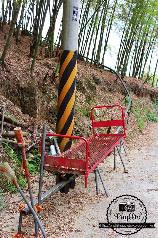 【銀杏森林】南投景點｜大崙山茶園｜武岫農圃｜大崙山觀景臺｜迷路為了看美麗的茶園｜怎麼拍都很美｜鹿谷免費景點