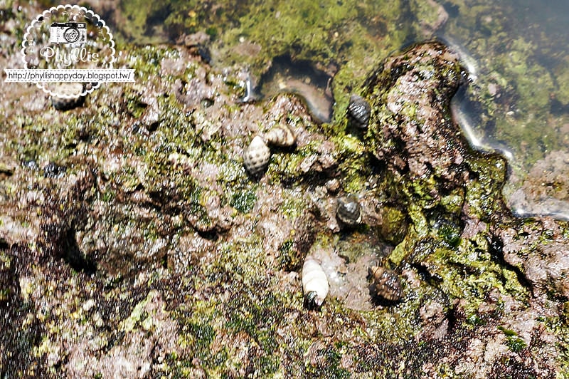 【富岡地質公園 (小野柳)】觀海聽浪超享受｜台東海岸線景點｜台東景點｜海水湛藍清澈心情也跟著飛舞起來