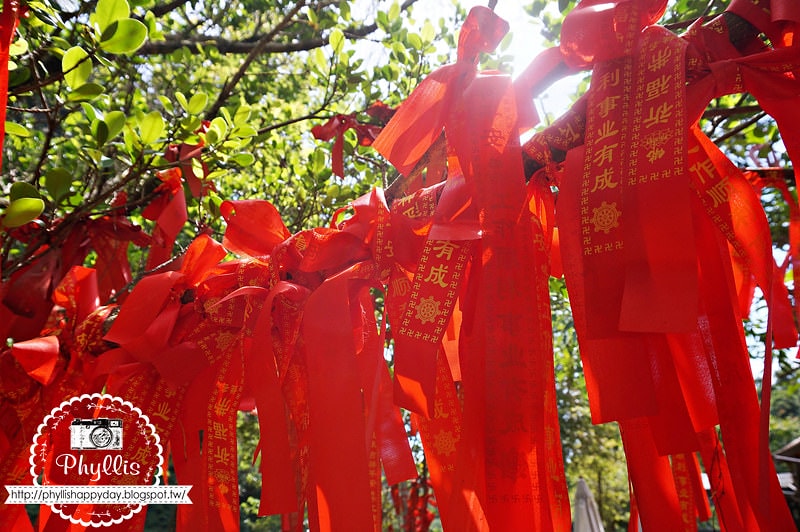 【十分老街 (平溪鐵道老街) x 十分瀑布 x 猴硐貓村】新北平溪一日遊｜鐵道輕旅行｜平溪線輕旅行｜猴硐貓街｜世界六大賞貓景點｜新北旅遊景點推薦