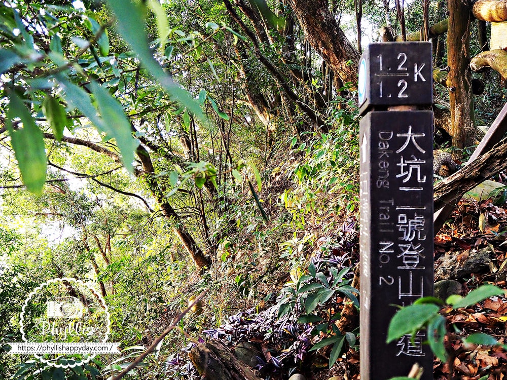 大坑2號步道 4