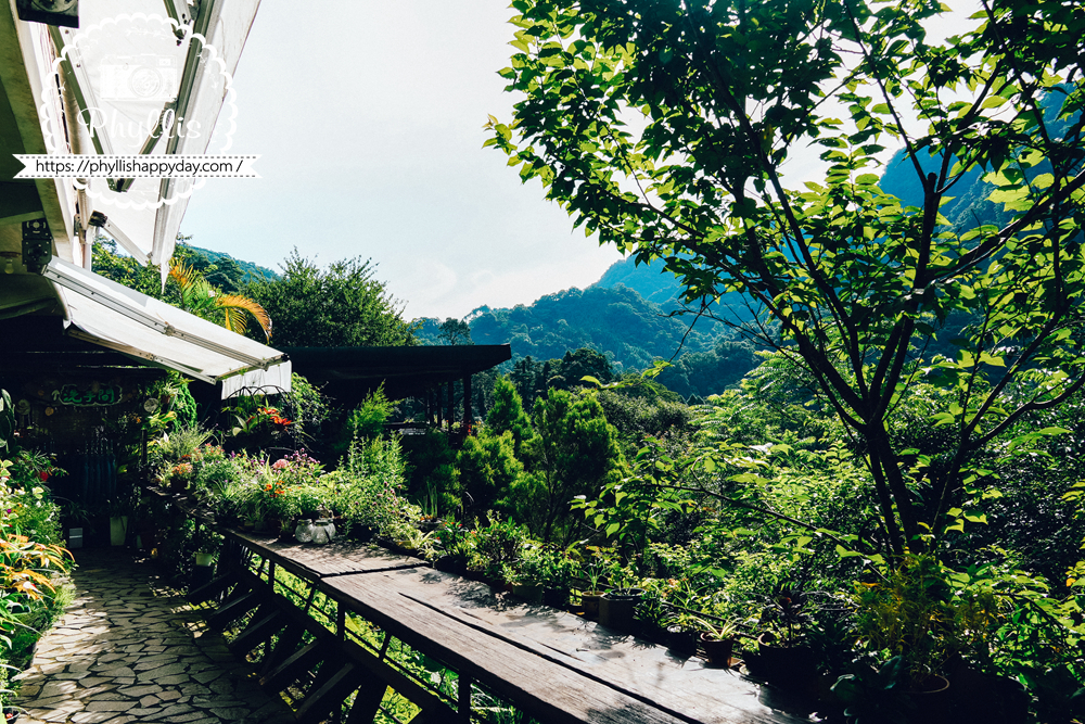 苗栗南庄山行玫瑰戶外用餐區｜被花草包圍的森林系景觀座位，適合親子與寵物同行