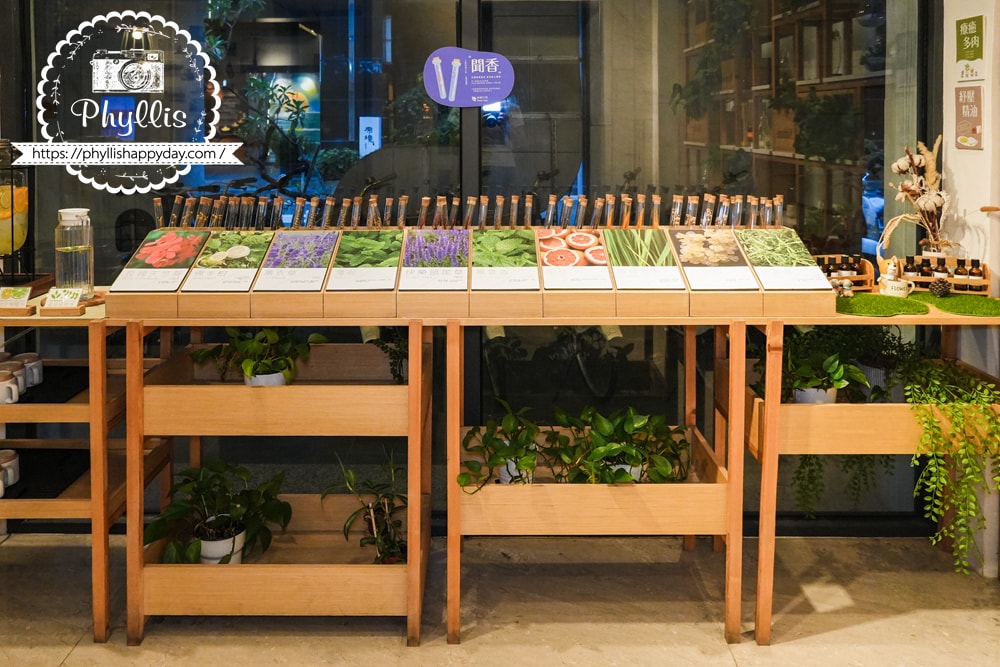 【葉綠宿・綠宿行旅 Green Hotel 草悟道館】|勤美草悟道步行5分鐘|台中親子住宿推薦|浴缸親子房實住分享|床圍需提前預約 - 第16張圖 大廳角落的精油小盆栽區