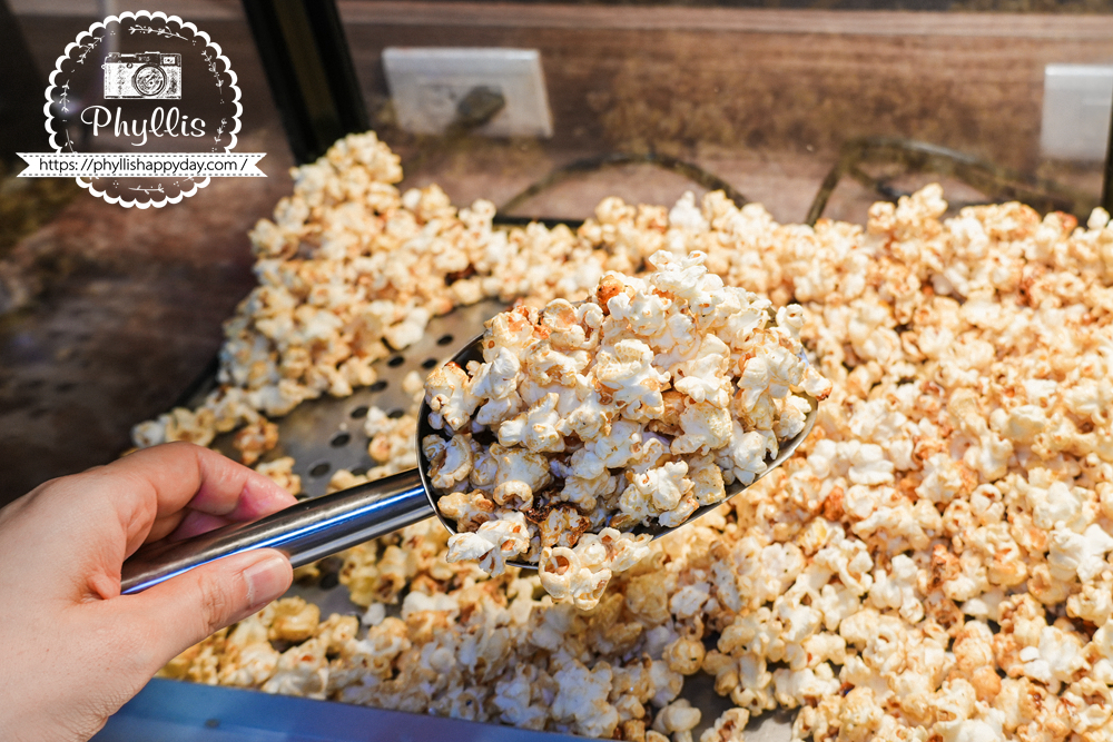 【貴族世家mini-龍潭大池店】｜龍潭新開幕精緻系吃到飽！299元起牛排 + 誠意自助吧：大份量水果、雞湯炸物披薩、環境漂亮好停車，旁邊就有停車場