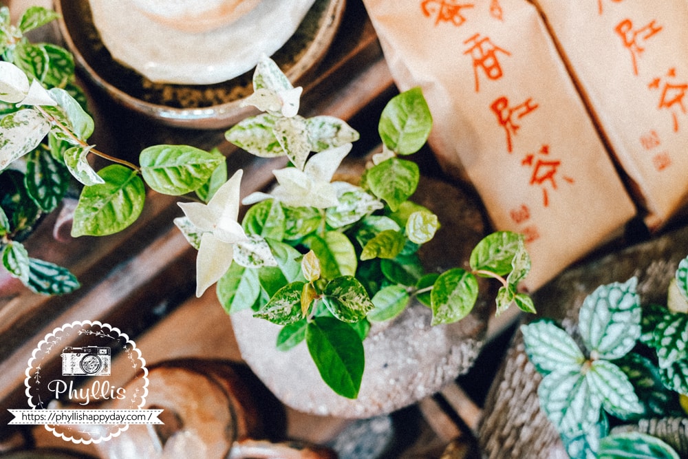 臻手作原創柴燒陶藝水耕植栽作品展示，桃園龍潭特色陶藝盆器設計