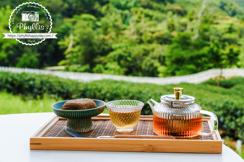 桃園復興景美山林茶園山月茶屋山景第一排景觀餐廳與山林茶屋氛圍