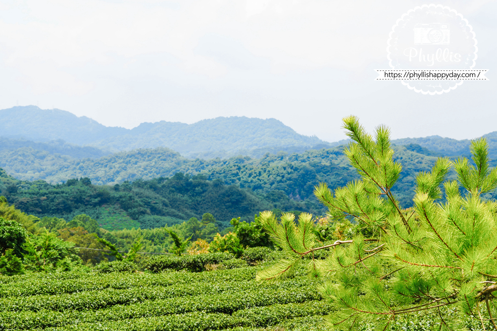 【景美山林茶園&山月茶屋】桃園復興放空系景觀咖啡廳,茶園山景、白色茶屋一次收進眼底 - 第34張圖 桃園復興區景美山林茶園窗外遼闊山景與療癒山林風景