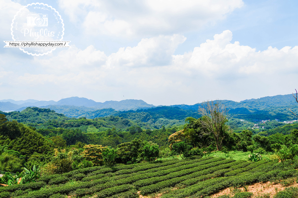 【景美山林茶園&山月茶屋】桃園復興放空系景觀咖啡廳,茶園山景、白色茶屋一次收進眼底 - 第8張圖 景美山林茶園茶園景色與桃園復興山巒美景