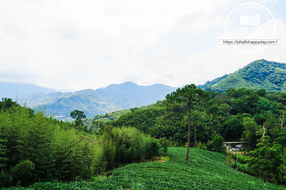 【景美山林茶園&山月茶屋】桃園復興放空系景觀咖啡廳,茶園山景、白色茶屋一次收進眼底 - 第10張圖 桃園復興山區無死角壯闊山景與景美山林茶園景觀